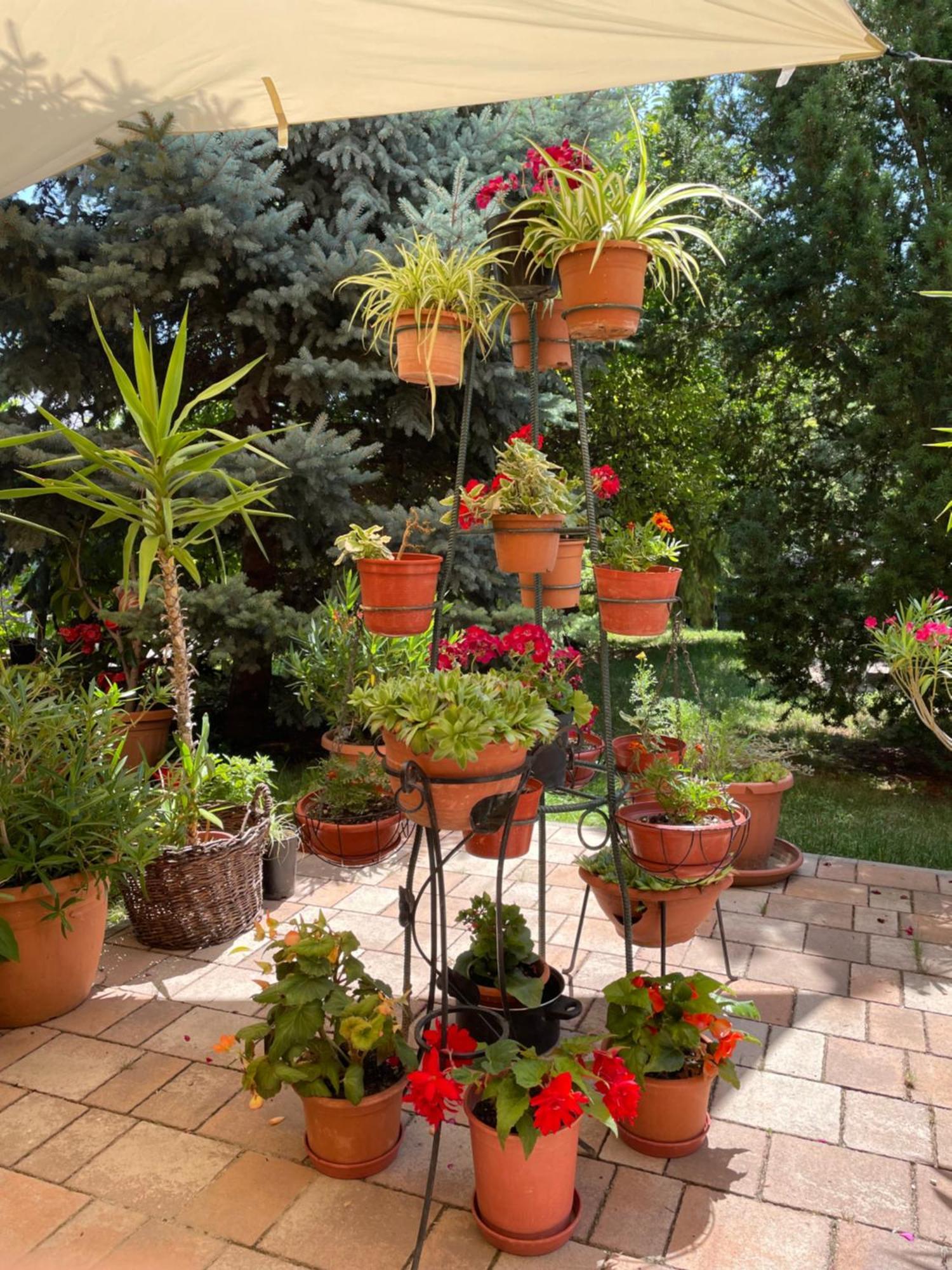 Jazmin-Szieszta Apartmanhaz Balatonfuered Exterior photo